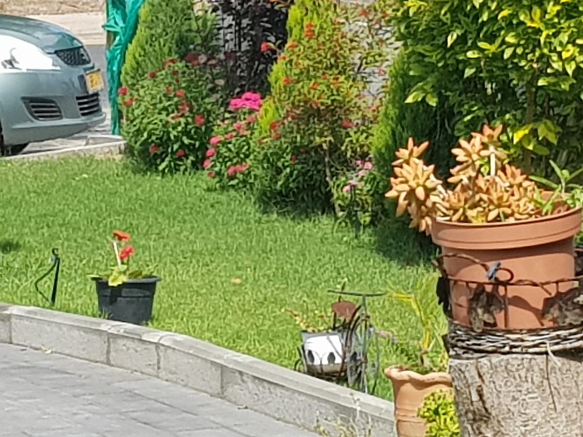 A Pastoral B & B Giv'at Ada Zewnętrze zdjęcie